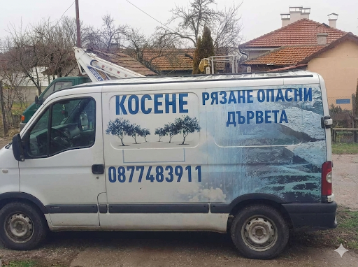 Услуги с вишка